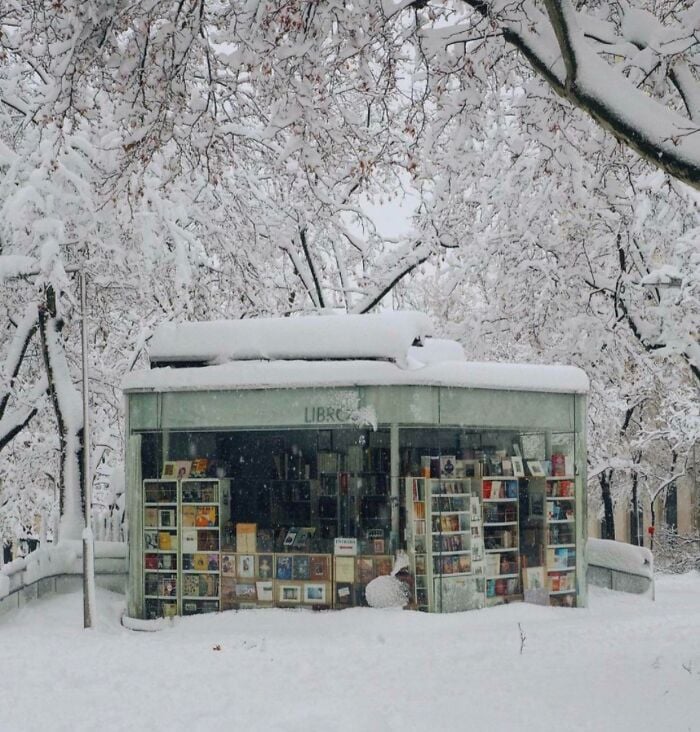 Quiosque de biblioteca aconchegante coberto de neve, cercado por &aacute;rvores geladas, exibindo livros em um cen&aacute;rio m&aacute;gico de inverno.