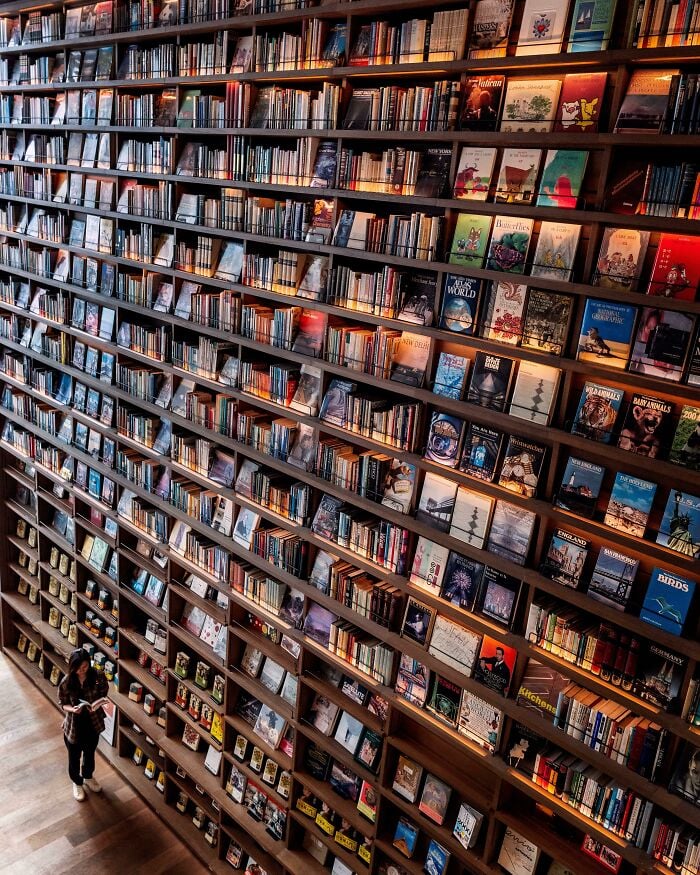 Large grandiose library with extensive bookshelves filled with books and a person reading inside the cosy space.